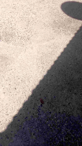 สนูว่าว160 cm พร้อมคันไม้ไผ่