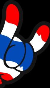 Paking Blok Paking Head Tembaga Vario 125 150 PCX 58 59 60 61 62 63 64 mm - Packing Perpak Gasket NGO