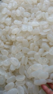 Kolang kaling super segar fress 1kg - caruluk segar - buah aren siap makan