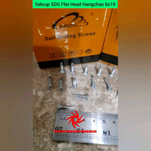 (100 pcs) Sekrup Roofing SDS FH #6x19 / Baut Baja Ringan 6x3/4" (2CM)