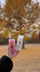 ￼S.Lab Pro - Korea Weight Control | Fat Burn | Cut Appetite |  Slimming | Free Delivery