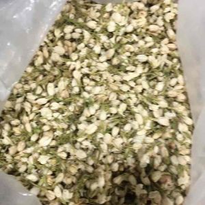 ✅[HÀNG THƯỢNG HẠNG] Trà Hoa Nhài (Hoa Lài) 100gr Sấy Khô Nguyên Bông Trắng Đẹp Thượng Hạng