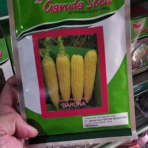 Benih Bibit Jagung Manis BARUNA Isi 50 Gram & Bibit Jagung Manis Unggul Isi 360 Biji