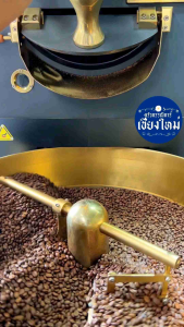 กาแฟปางขอน เมล็ดกาแฟคั่ว 250 กรัม สดใหม่ทุกorder