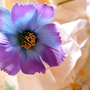 การ์ดช่อดอกไม้จิ๋ว การ์ดปัจฉิม