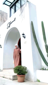 Abaya Polos Jumbo: Anisa Abaya Polo Linen Premium | Abaya Lebaran Busui Kancing Depan Simpel Elegan Mewah Modis Bahan Adem Lembut Nyaman Tangan Panjang Jumbo