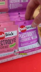 BUNDLE — SaltStick Electrolytes FastChews Bottle (60pcs) + Packet (10pcs) - BB Date 2027