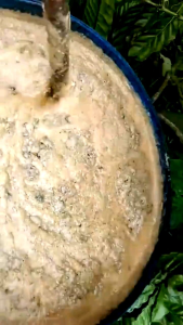 [UY TÍN] Vi Sinh Xử Lý Hữu Cơ NANO S.EM Ủ Đạm Cá Bánh Dầu Phân Bò Phân Dê Hoai Mục Hoàn Toàn (50gr)