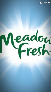 1 Thùng 24hộp Sữa tươi tiệt trùng MeadowFresh 200ml/hộp – Giàu Canxi ít béo - Date mới