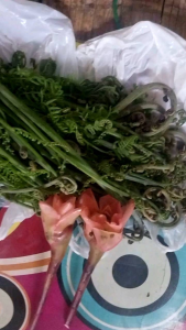 Pakis Sayur Dan Bunga Kecombrang Segar Kumplit Siap Masak