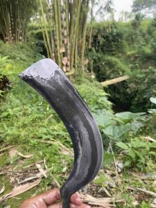 Deres balikmipih damaskus superan