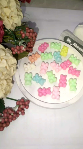 ( 10 pcs ) Manik Manik Bear / Beruang Mini