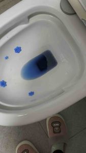 Sibiru Penyegar 50gram Toilet Tablet Biru WC Pembersih Penyegar Closet isi 5pcs