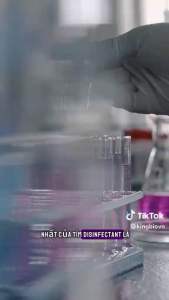 Thuốc tím Disinfectant đậm đặc giúp khử trùng diệt khuẩn cá mới hồ cá cảnh cây thuỷ sinh chai 235ml.