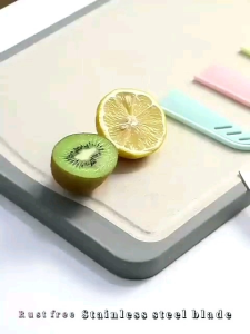 Pisau Buah Stainless Mini +Sarung / Pisau Dapur Sayur Buah Kecil