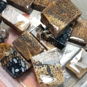 BATU NATURAL Bahan Lempengan Akik Jenis Fossil Palem (Palm Root)