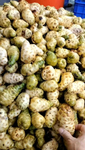 4.Lít - Loại Đặc Biệt - Nước nấu chưng cất tinh chất trái nhàu 👍