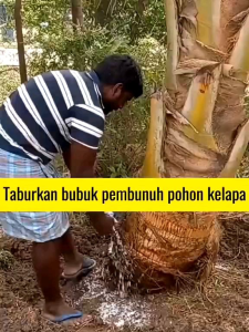 BELI 1 GRTIS 1 Kill grass panda bubuk pembasmi gulma semua jenis tanaman bambu dan pohon isi 100ML