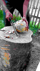 Bedog bilah tanpa serangkabaja perkupas kelapatebang bambu/kayu