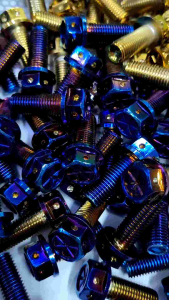 Flashmotor TITANIUM CALIPER SCREW M10 x 25mm 30mm Y16ZR LC135 Y15ZR Y15 Y125Z Y125 NMAX NVX RXZ LAGENDA SRL110 SRL115 EGO EGOS NOUVO LC AVANTIZ SALORIZ