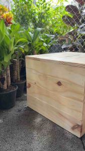 ✅ กล่องไม้ ส่งของไว ถูก และทน ส่ง กล่องไม้ ใส่ซองงานแต่ง ไม่สนนอก กล่องไม่สนนอก กล่องใส่ กล่องใส่ซองราคาถูก