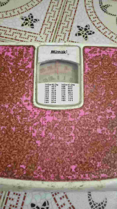 ที่ชั่งน้ำหนัก จำกัดน้ำหนักเพื่อสุขภาพ เครื่องชั่งน้ำหนักแบบเข็ม