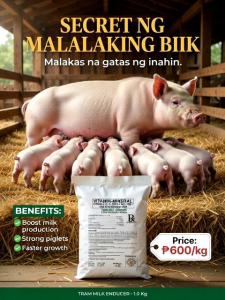 TRAM MILK ENDUCER Vitamin–Mineral Feed Premix for Lactating Sows