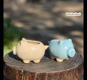 Combo 5 chậu sen đá/xương rồng nhập Trung mini/Chậu ngón tay