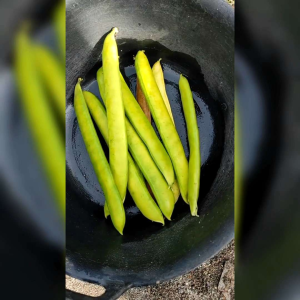 BIJI BENIH SAYURAN KORO PEDANG | JACK BEAN