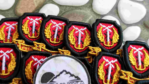 pin pelopor terbaru 2025