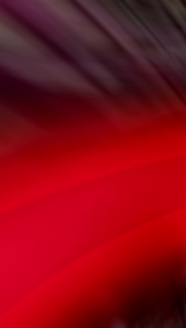 Bulu Mata Kode WSP 3D || 12 Pasang (Free Cover Penutup Mika Tiap Pcs)