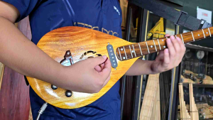 พิณโปร่งไฟฟ้าไม้ขนุน งานไม้แท้ น้ำหนักเบา เสียงดี