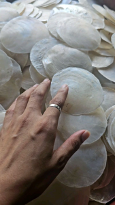 Discover the Beauty of ORIGINAL WASHED Capiz & Malinis Capiz Shells
