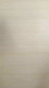 Set 4 Judul Seri Dunia Bawah Laut: Gurita & Penghuni Laut Dangkal, Lumba-Lumba & Penghuni Perairan Dingin