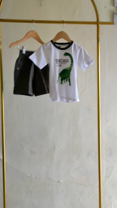 COD BAJU SETELAN KAOS PREMIUM ANAK 1/6 TAHUN / SETELAN ANAK LAKI LAKI / SETELAN ANAK KEKINIAN / SETELAN DINO