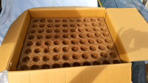 ถาดเพาะกล้า 80หลุม ถาดหลุม ถาดเพาะเมล็ด ใยมะพร้าว กระถางใยมะพร้าว ถาดใยมะพร้าว ถาดเพาะ80หลุม กระถาง 1 นิ้ว