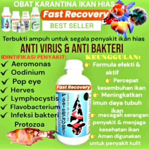 FAST RECOVERY 100ML PENYAKIT IKAN JAMURPARASITSISIK NANAS/KEMBUNG SISIK MERAHBENJOLANPEMBUSUKAN INSANG BADAN MERAH