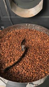 Kopi Robusta Lanang Peaberry 250gr | Dampit Jawa Timur | Natural Process | Strong & No Acidity