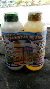 (ชุดเสริมงาม)ขุมพลังบำรุงพืช ตราเต่ามังกรแคลเซียม โบรอนแมกนีเซียม กรดอะมิโน โปรตีนพืช กรดฮิวมิค ช่วยผสมเกสร ลดการหลุดร่วง กระตุ้นราก ฟื้นฟูดิน ขนาด 1 ลิตร x 2 ขวด