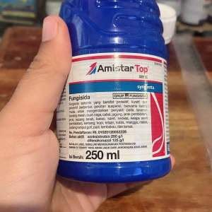 AMISTARTOP  325sc(isi bersih 250ml)adalah fungisida  untuk mengendalikan penyakit pada tanaman Insect Control Spray Amistartop 325Sc Isi Bersih 250Ml - Lazada