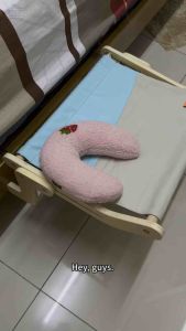 [PETSGO] MewooFun Cat Bed Wooden Cat Hanging Bed Cat Bed Window Perch Cat Window Seat Hammock Adjustable Durable Steady Cat Bed Strong & Secure 猫咪睡垫 猫床