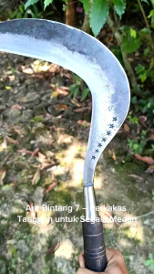 Arit Rumput Bintang 7 Perkakas Tangguh untuk Segala Medan