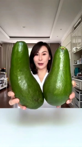 Alpukat Mentega 1kg Masih Fresh