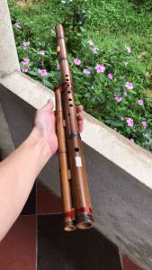 Sáo Mèo Kép Trúc Hun – Sáo Mèo Tone C