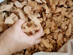 ข่า ข่าแห้ง (เกรดรอง ) Galangal/干高良姜 ขนาด 500 กรัม