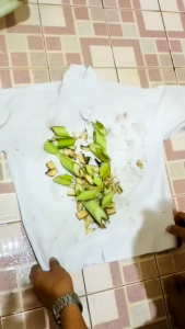 Pembersih Penghilang Noda Jamur Getah Tinta Menguning Pada Kain baju Pakaian Ampuh Jaminan Ory