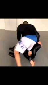 Hình Nộm Tập Võ Vật BJJ Jiujitsu Judo MMA