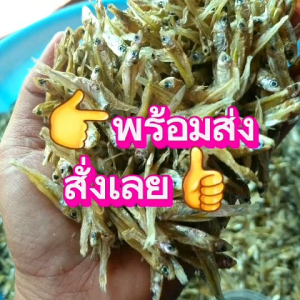 ปลาซิว ปลาซิวจืด ขนาด 200 กรัม ปลาซิวแก้วตากแห้ง ปลาตัวเล็กตัวน้อย  ปลาแห้ง dried fish  ไม่ปรุงรส ไม่ใส่เกลือ ปลอดผงชูรส
