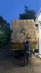 Mamypoko 1 Karton NBS44 S38 M32 L28 XL26 XXL24 Popok Bayi