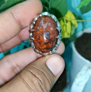 akik ati ayam motif sisik naga